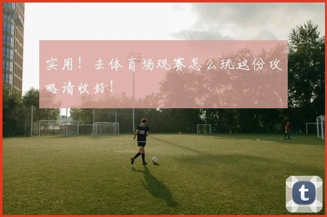 实用！去体育场观赛怎么玩这份攻略请收好！